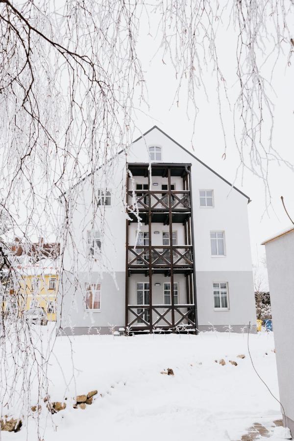 U Zlate Brizy Krusne Hory - Erzgebirge Apartamento Horní Blatná Exterior foto