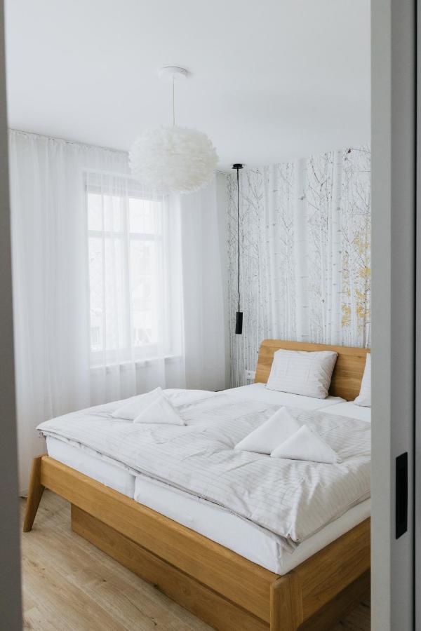 U Zlate Brizy Krusne Hory - Erzgebirge Apartamento Horní Blatná Exterior foto
