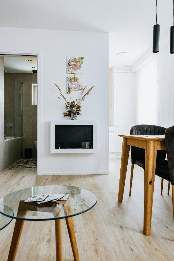 U Zlate Brizy Krusne Hory - Erzgebirge Apartamento Horní Blatná Exterior foto