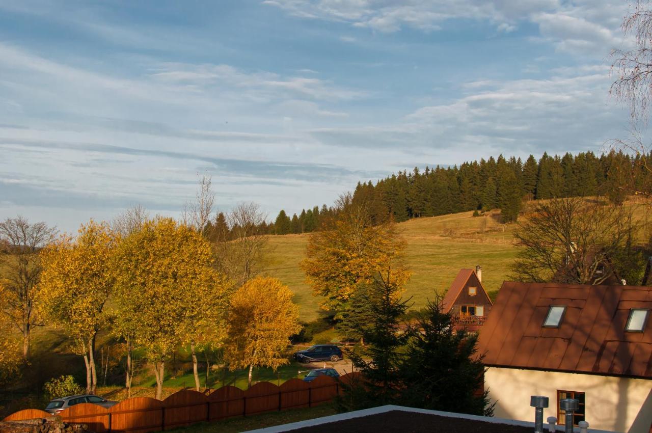 U Zlate Brizy Krusne Hory - Erzgebirge Apartamento Horní Blatná Exterior foto