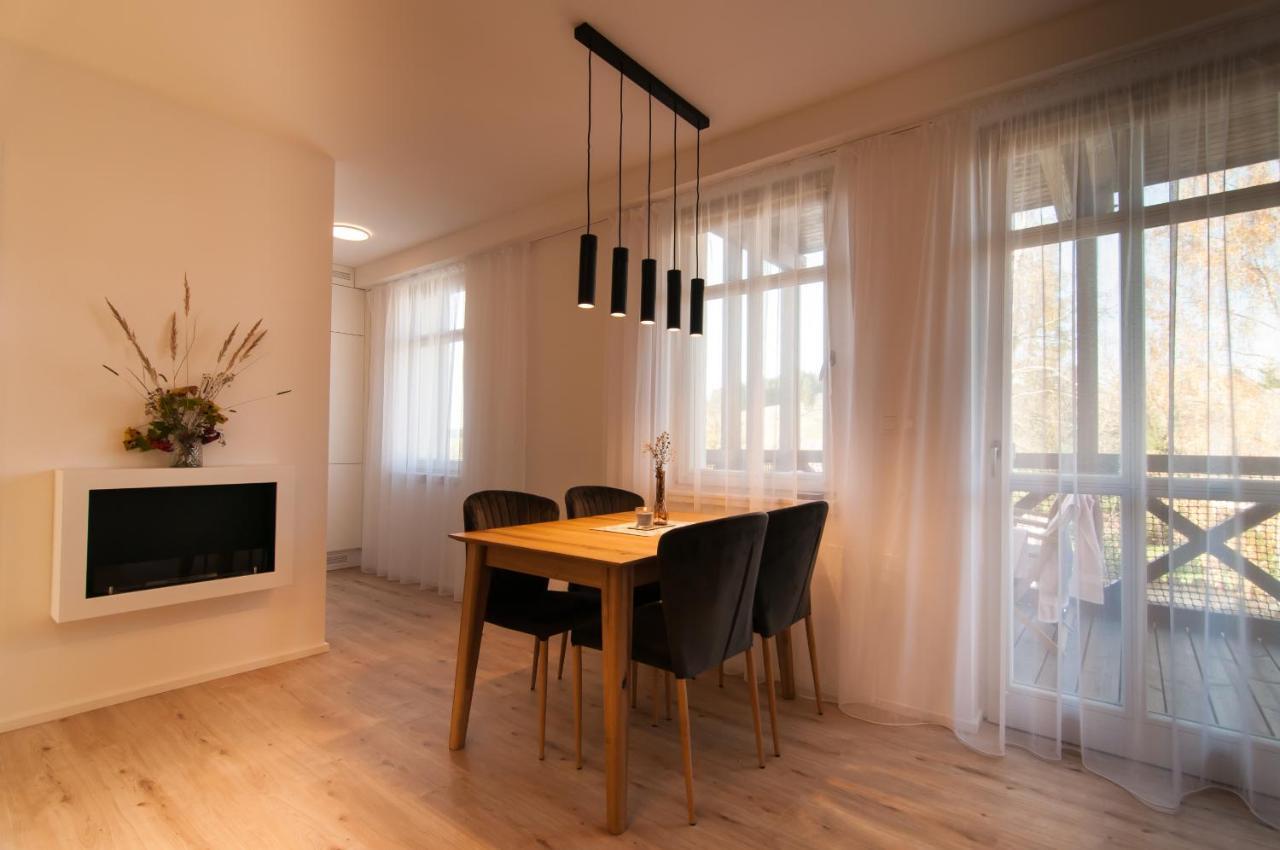 U Zlate Brizy Krusne Hory - Erzgebirge Apartamento Horní Blatná Exterior foto