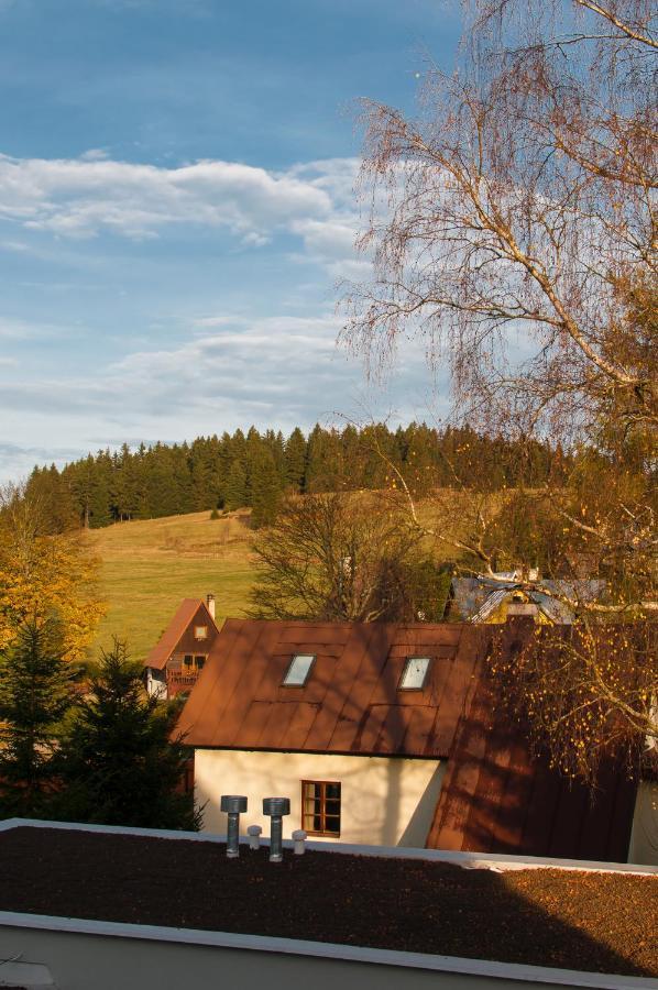 U Zlate Brizy Krusne Hory - Erzgebirge Apartamento Horní Blatná Exterior foto
