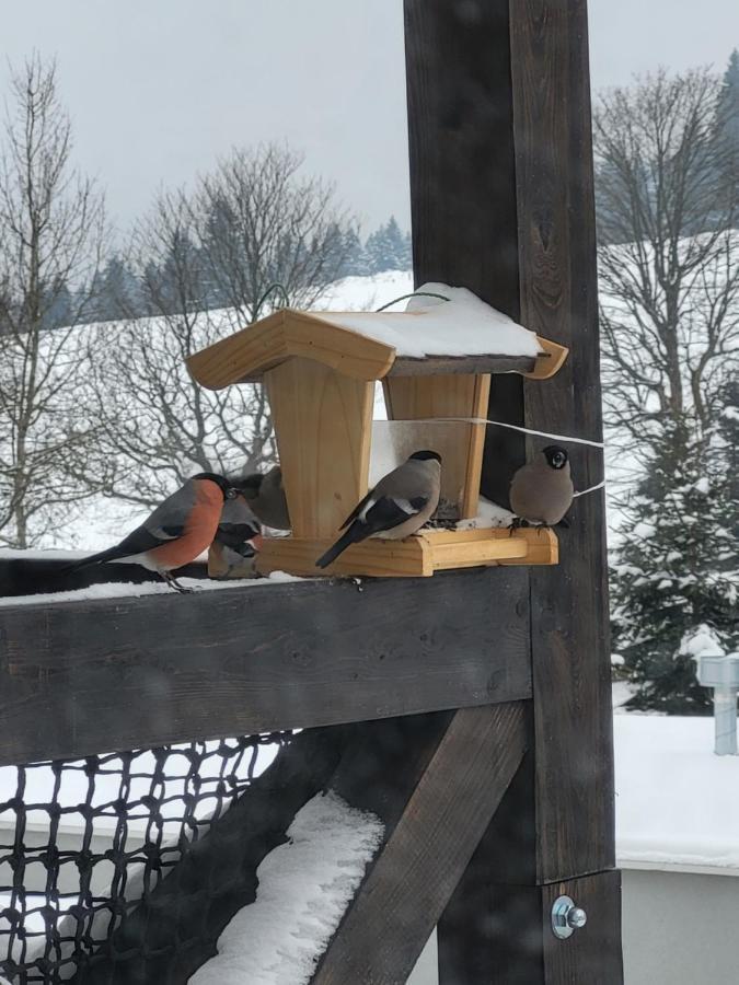 U Zlate Brizy Krusne Hory - Erzgebirge Apartamento Horní Blatná Exterior foto