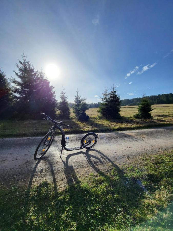 U Zlate Brizy Krusne Hory - Erzgebirge Apartamento Horní Blatná Exterior foto