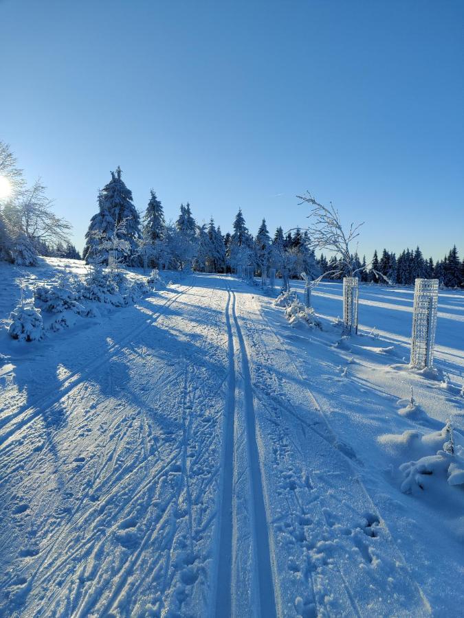 U Zlate Brizy Krusne Hory - Erzgebirge Apartamento Horní Blatná Exterior foto
