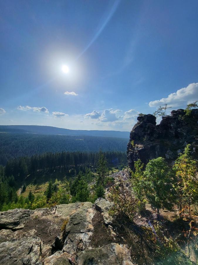 U Zlate Brizy Krusne Hory - Erzgebirge Apartamento Horní Blatná Exterior foto