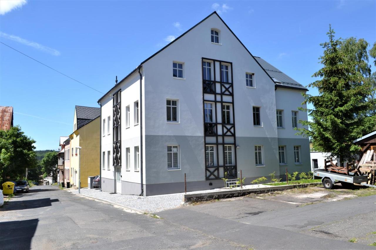 U Zlate Brizy Krusne Hory - Erzgebirge Apartamento Horní Blatná Exterior foto