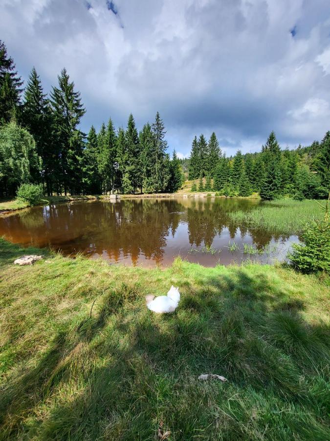 U Zlate Brizy Krusne Hory - Erzgebirge Apartamento Horní Blatná Exterior foto